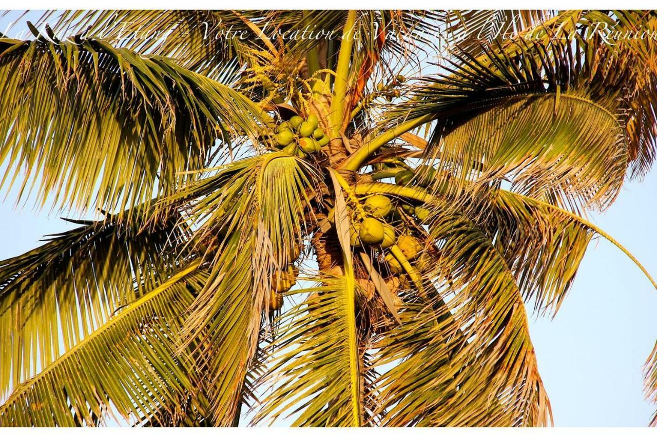 La Kaz A L'Etang - Votre Location De Vacances A L'Ile De La Reunion Сен-Луи Екстериор снимка