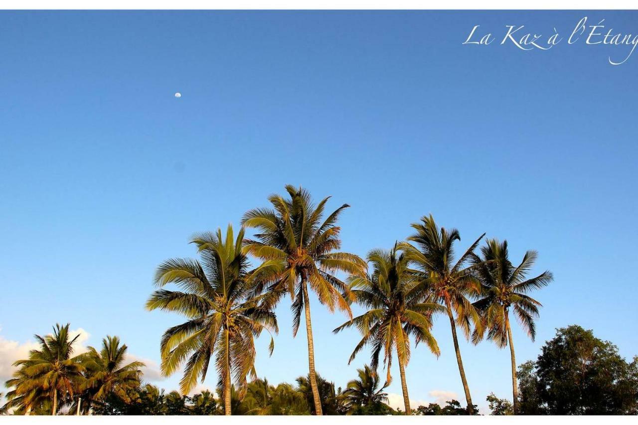 La Kaz A L'Etang - Votre Location De Vacances A L'Ile De La Reunion Сен-Луи Екстериор снимка